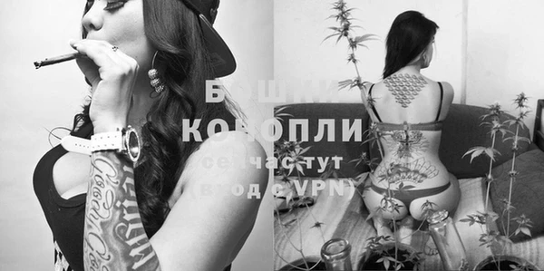 соль ск Волосово