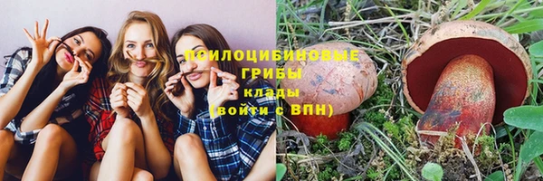 соль ск Волосово